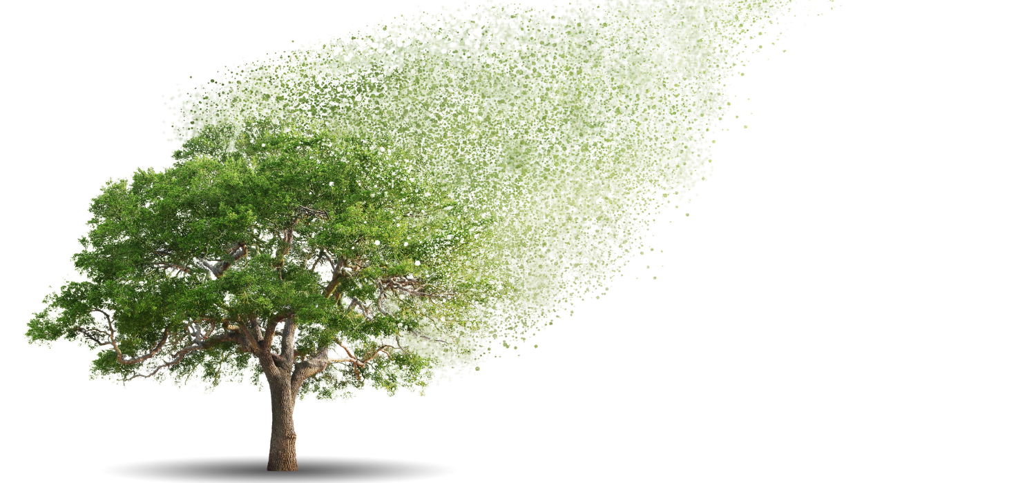 Pepin County Housing Authority Rental Communities Apartments in